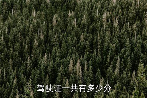  駕駛證一共有多少分