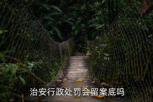  治安行政處罰會留案底嗎