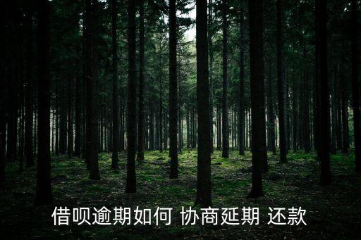 借唄還不上怎么協(xié)商還款,借唄不還會坐牢嗎?沒能力還款了