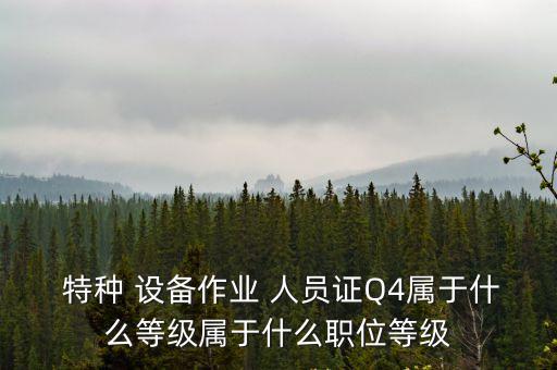  特種 設(shè)備作業(yè) 人員證Q4屬于什么等級屬于什么職位等級