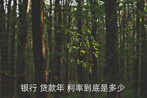 長期貸款利率,2003年房地產(chǎn)中長期貸款利率