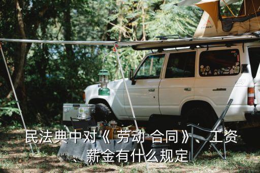  民法典中對《 勞動 合同》、工資、薪金有什么規(guī)定