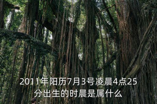2011年陽歷7月3號凌晨4點25分出生的時晨是屬什么