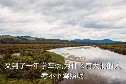 駕校情