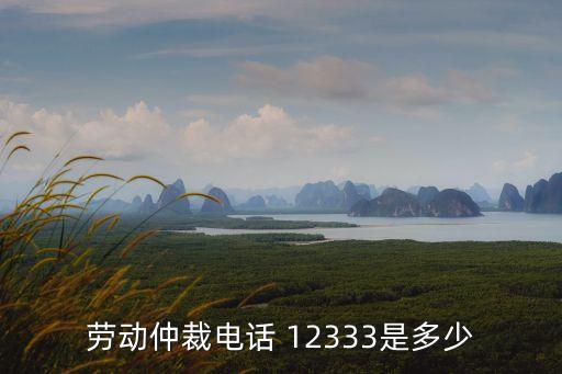 勞動仲裁電話 12333是多少