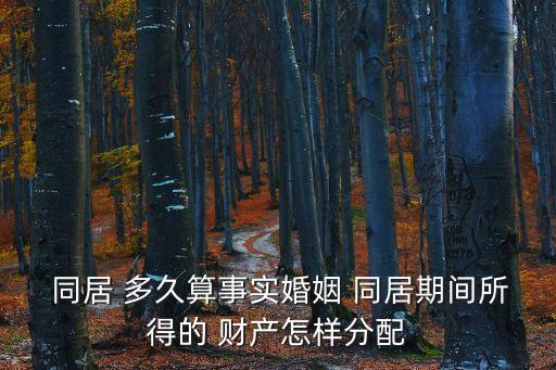  同居 多久算事實婚姻 同居期間所得的 財產(chǎn)怎樣分配