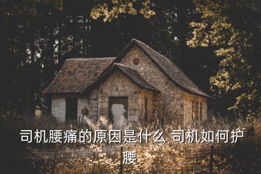 長(zhǎng)途汽車(chē)司機(jī)2,我被帶到公交車(chē)最后一排