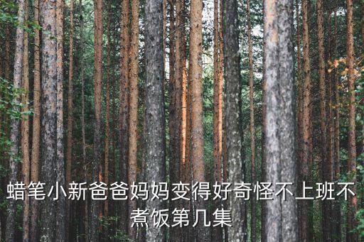 蠟筆小新爸爸媽媽變得好奇怪不上班不煮飯第幾集