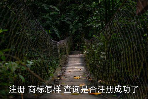 商標進度查詢