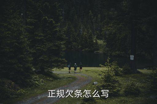 正規(guī)欠條怎么寫