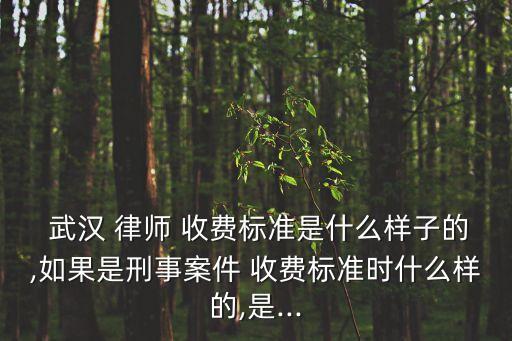 武漢合同法律師收費(fèi)多少