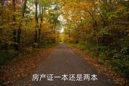  房產(chǎn)證一本還是兩本