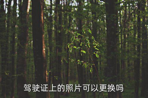 駕照照片怎么換,駕駛證照片p圖