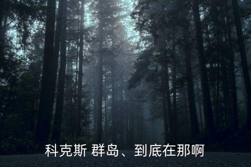 群島英語怎么說,飛機場用英語怎么說