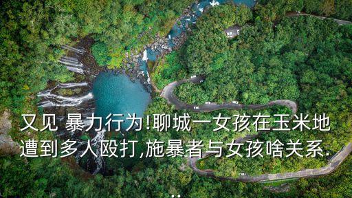 又見 暴力行為!聊城一女孩在玉米地遭到多人毆打,施暴者與女孩啥關(guān)系...