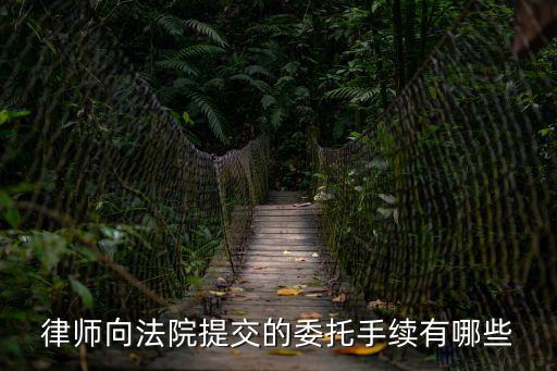 專項法律服務(wù)委托書,法律服務(wù)委托書范本