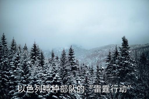 霹靂行動(dòng),以色列霹靂行動(dòng)
