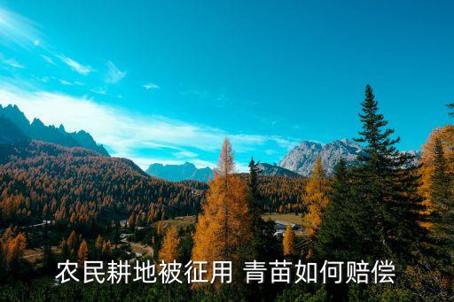青苗補(bǔ)償費(fèi)