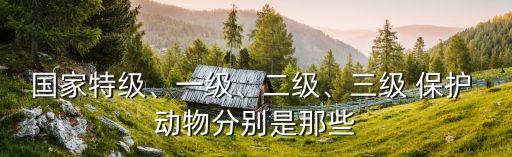 國家特級、一級、二級、三級 保護 動物分別是那些