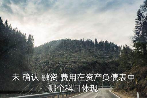 未 確認(rèn) 融資 費(fèi)用在資產(chǎn)負(fù)債表中哪個(gè)科目體現(xiàn)