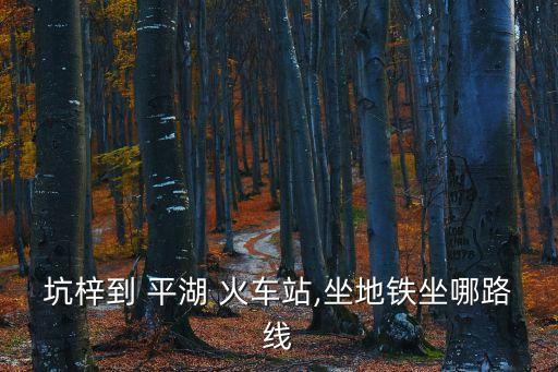 坑梓到 平湖 火車站,坐地鐵坐哪路線