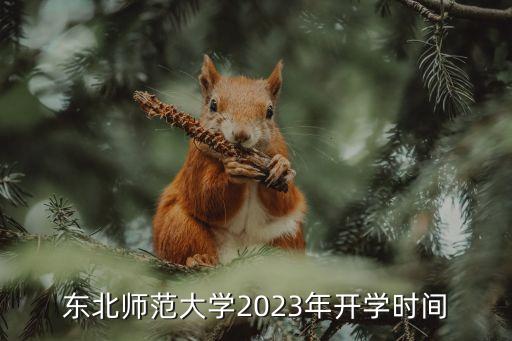 東北師范大學(xué)2023年開學(xué)時間