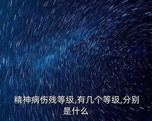 精神殘疾二級(jí)