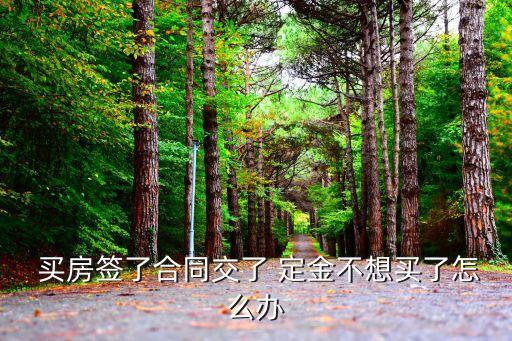  買(mǎi)房簽了合同交了 定金不想買(mǎi)了怎么辦