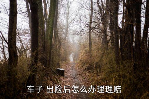 車子 出險(xiǎn)后怎么辦理理賠