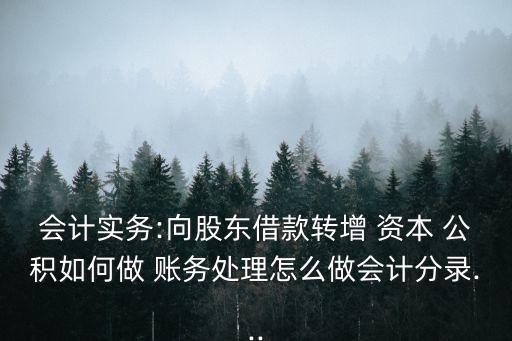 會計實務(wù):向股東借款轉(zhuǎn)增 資本 公積如何做 賬務(wù)處理怎么做會計分錄...