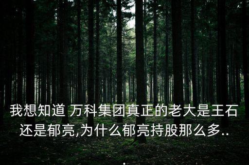 萬科老板