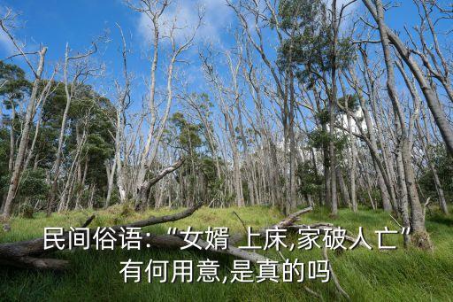 和丈母娘上床,女婿和丈母娘關(guān)系
