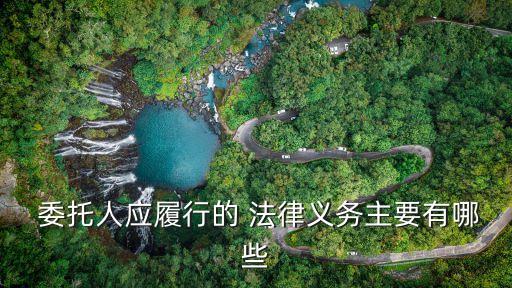 委托服務(wù)合同涉及哪些法律