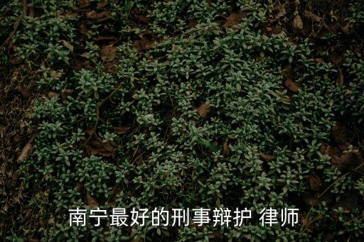  南寧最好的刑事辯護 律師