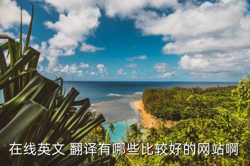 在線英文 翻譯有哪些比較好的網(wǎng)站啊