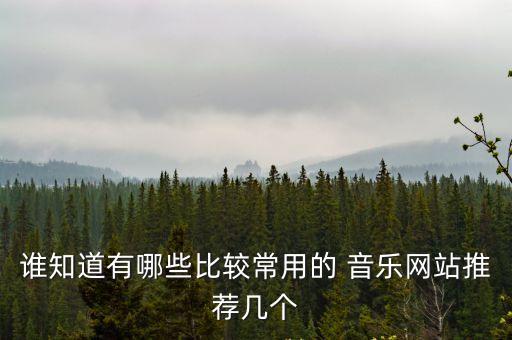 誰(shuí)知道有哪些比較常用的 音樂(lè)網(wǎng)站推薦幾個(gè)