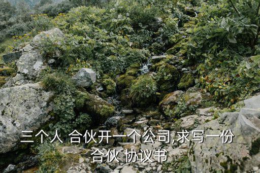三個(gè)人 合伙開(kāi)一個(gè)公司,求寫(xiě)一份 合伙 協(xié)議書(shū)