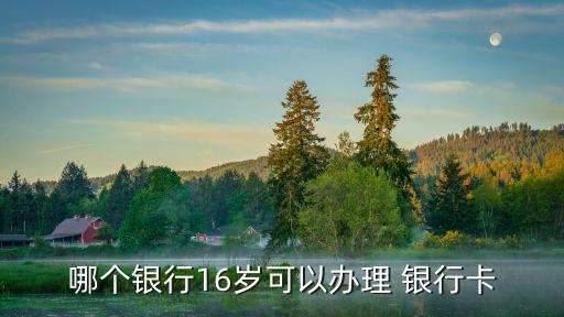 哪個銀行16歲可以辦理 銀行卡
