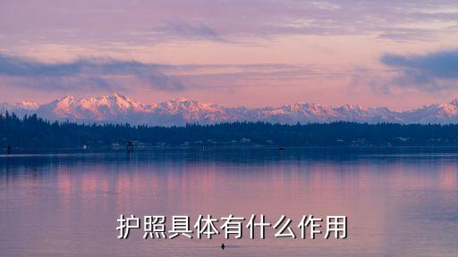 護(hù)照有什么用,博物館參觀護(hù)照有什么用