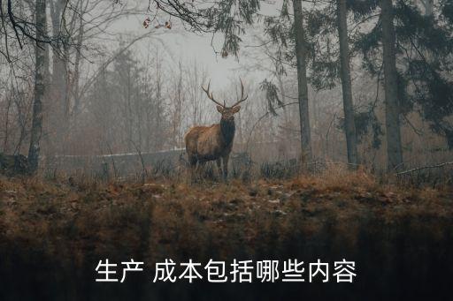 產(chǎn)品生產(chǎn)成本