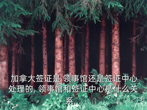  加拿大簽證是 領(lǐng)事館還是簽證中心處理的, 領(lǐng)事館和簽證中心是什么關(guān)系...