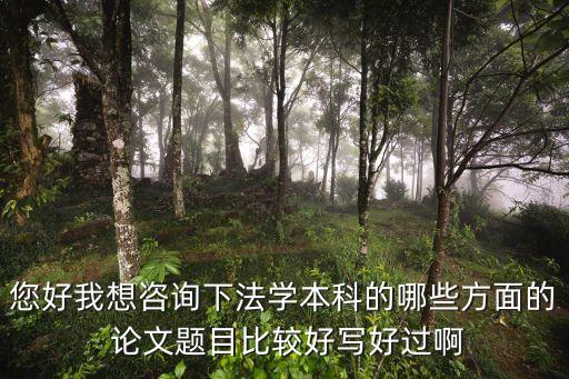 法律論文哪個(gè)方向好寫,法律畢業(yè)論文8000字