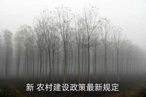 新 農(nóng)村建設(shè)政策最新規(guī)定