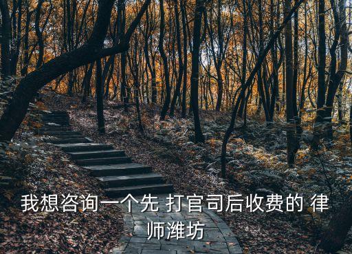 先打官司后付費的律師電話,不勝訴不收費的律師事務(wù)所在哪