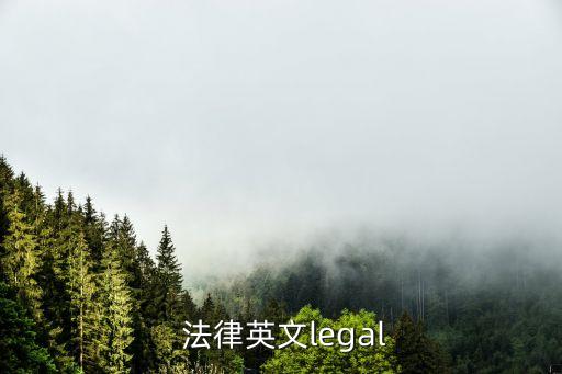 制定法律英語,政府應該制定法律英語