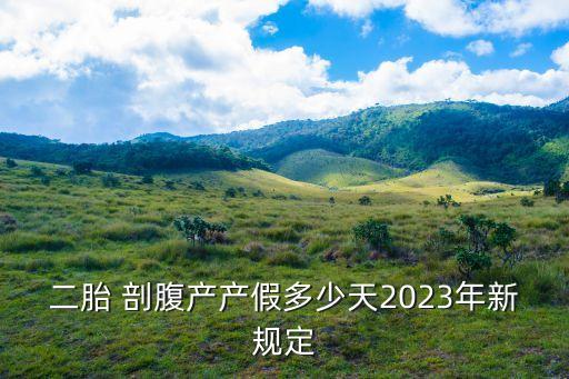 剖腹產(chǎn)假期,浙江產(chǎn)假2023年新規(guī)定剖腹產(chǎn)假期