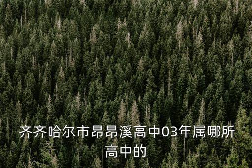  齊齊哈爾市昂昂溪高中03年屬哪所高中的