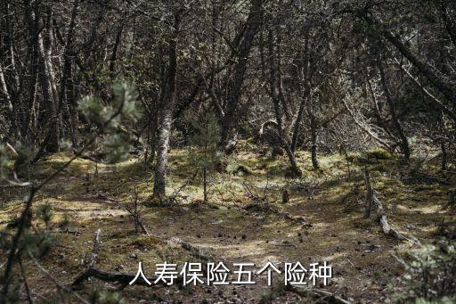  人壽保險(xiǎn)五個(gè)險(xiǎn)種
