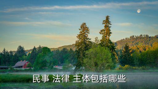 法律主體