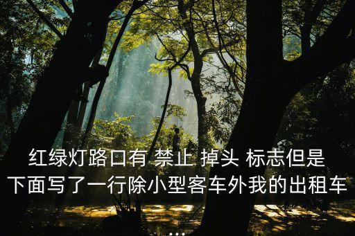 禁止掉頭的標(biāo)志,路口禁止掉頭的標(biāo)志